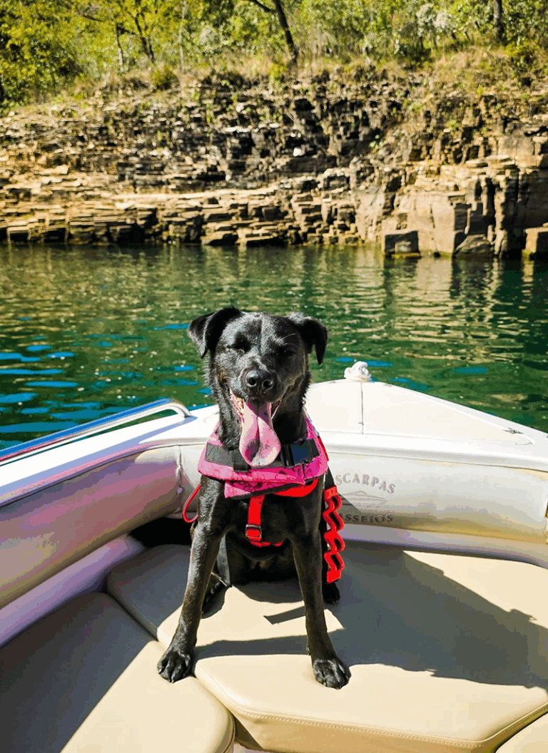 SnapInsta.to_542964364_17907864024238974_5901164581926222957_n